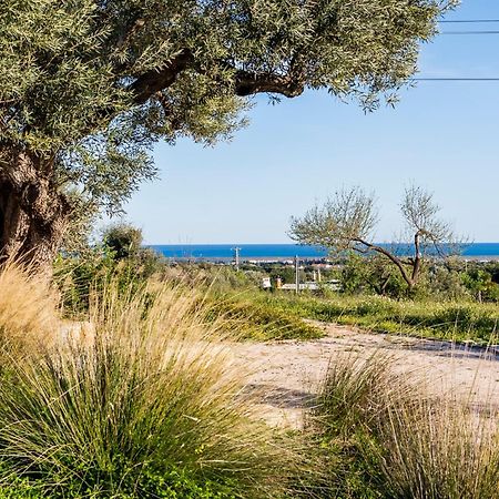 Вилла Quinta Da Baleeira Тавира Экстерьер фото