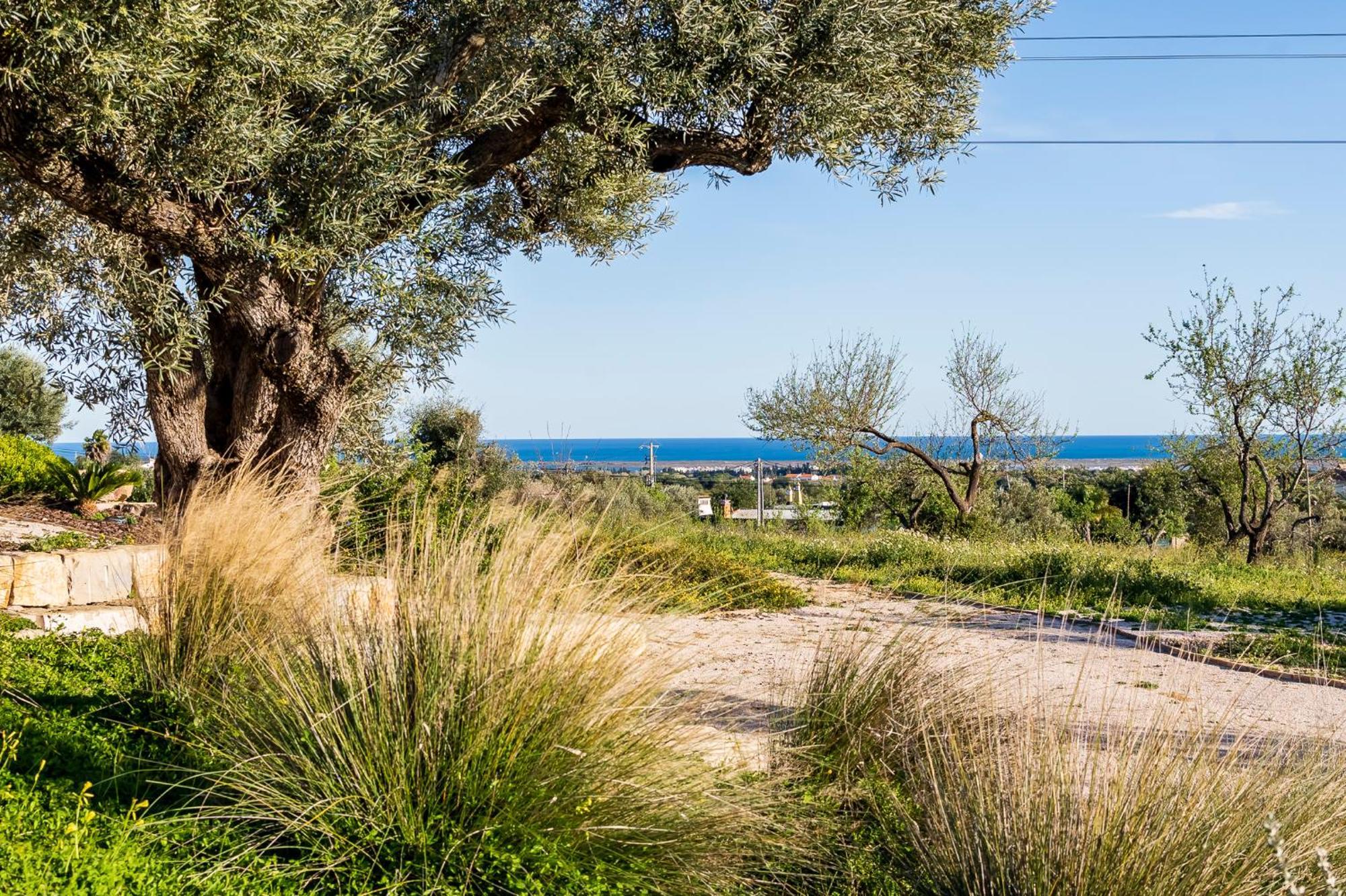 Вилла Quinta Da Baleeira Тавира Экстерьер фото